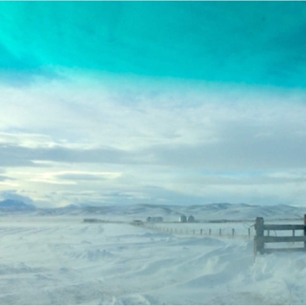 Meet your Posher, Hailey